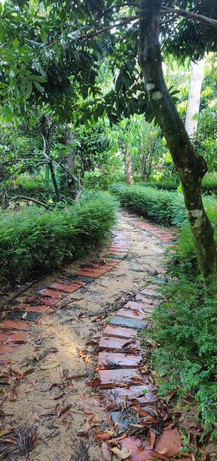 The Vintage Chikmagalur Apartment ภายนอก รูปภาพ